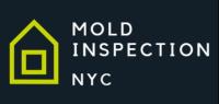 Mold Inspection NYC image 5