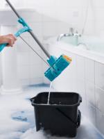 GreenMaids Cleaning Services  image 1