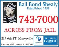 Bail Bond Shealy Inc image 4