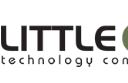 little Gecko Technology Consultants  logo