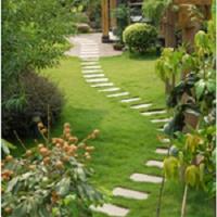 Fiorello Landscaping image 3