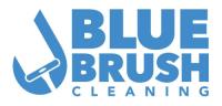 Blue Brush Cleaning image 1