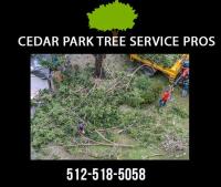Cedar Park Tree Service Pros image 3
