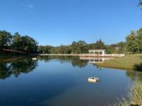 Platinum Ponds & Lake Management image 3