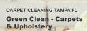 Tamp Green Clean logo