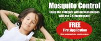 Spring Touch Lawn & Pest Control image 1