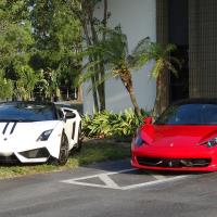 Exotic Car Doc image 1