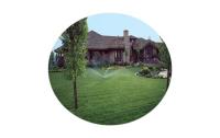 Spring Touch Lawn & Pest Control image 10