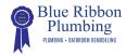 Blue Ribbon Plumbing LLC logo