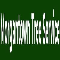 Morgantown Tree Service image 1