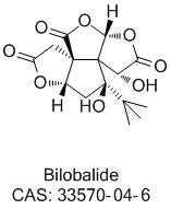 Bilobalide image 1