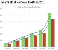 All US Mold Removal Miami FL  image 2