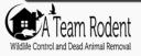  A Team Animal Removal, Trapping  logo