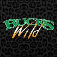 Bucks Wild image 5