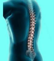 Chiropractors at Divine Spine Yorba Linda image 2
