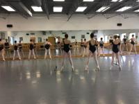 North Shore School of Dance image 1