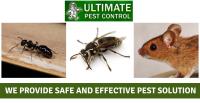 Ultimate Pest Control image 2