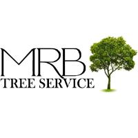 MRB Tree Service image 1