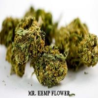 Mr. Hemp Flower image 2