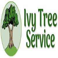 Ivy Tree Service image 1