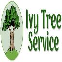 Ivy Tree Service logo