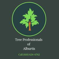 Tree Professionals of Alburtis image 1