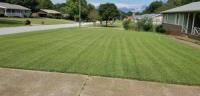 Carters Expert Lawn Care Services image 3