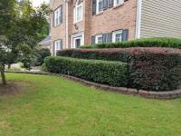 Carters Expert Lawn Care Services image 4