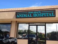 Juno Beach Animal Hospital image 2