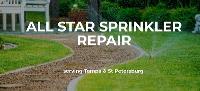 All Star Sprinkler Repair image 1