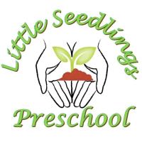 Little Seedlings Bilingual Preschool image 1