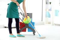 Ann Maids Cleaning Service image 2