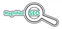 Magnified SEO image 1