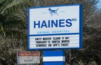 Haines Road Animal Hospital image 3