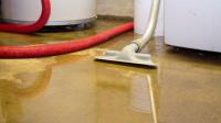 Water Damage Restoration Near Me image 4