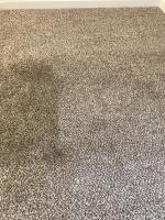 Purelements carpet cleaning Specialist image 2