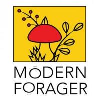 Modern Forager image 1