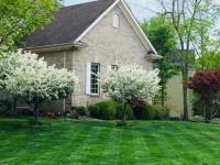 Sloans Lawncare LLC image 3