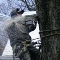 Myers and Laws Tree Service, Inc. image 2