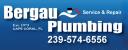 Bergau Plumbing logo