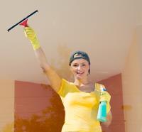 Maui Window Cleaning Service image 1