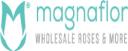 Magnaflor logo