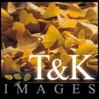 T&K Images - Fine Art Photography Prints image 4
