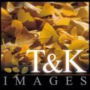 T&K Images - Fine Art Photography Prints logo