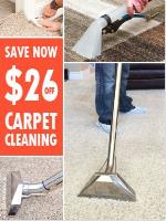 Dallas TX Carpet Cleaning image 2
