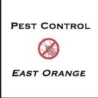 Pest Control East Orange Company image 1