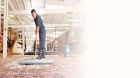 Carpet & Rug Cleaning West Nyack image 2