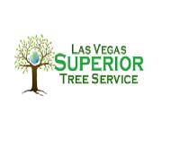 Las Vegas Superior Tree Service image 1
