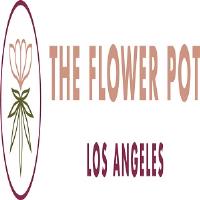 The Flower Pot image 4