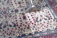 NYC Carpet Cleaning Services image 2